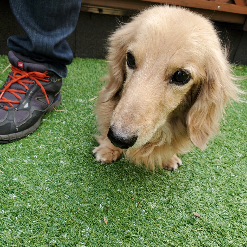 ロンのカバー写真