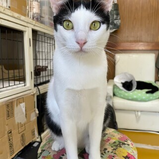 スリゴロでかまってﾁｬﾝくっきー♂️