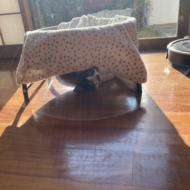 の写真