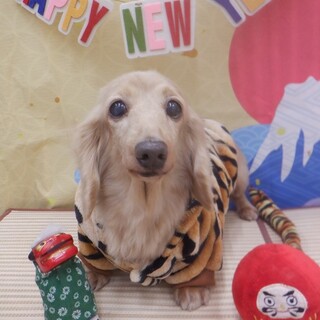 シニアでも元気いっぱいです。