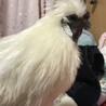 ゆう727aki