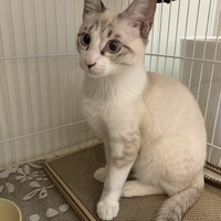 おこめ