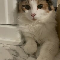 カラ