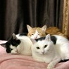 子育てを頑張ったお茶目なママン サムネイル6