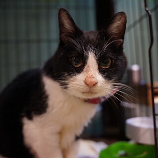 食べるの大好き♪おっとりマイペースな女の子♪