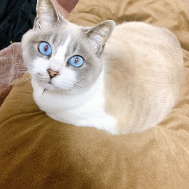 の写真