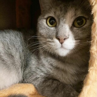 スリゴロりんちゃん♀️