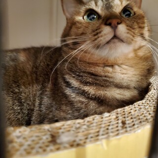 シェアト♀️(リマ♀️と一緒に)