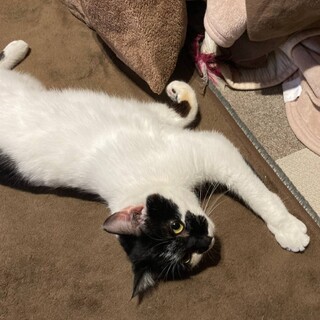 ミウ。  女の子　11ヶ月