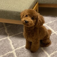 ムウ