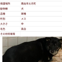 捕獲され期限は1週間しかありません