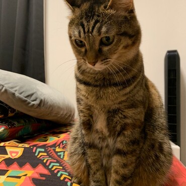 の写真