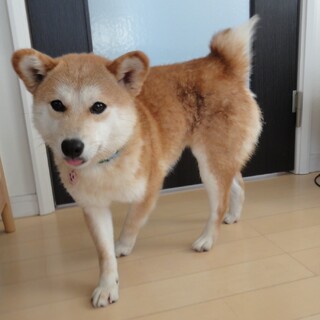 「凪（なぎ）」女の子