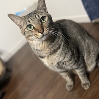 むぎ