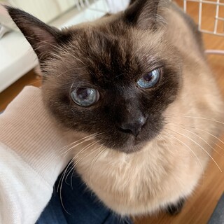 甘えん坊のムーンおじいちゃん