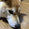 霧花