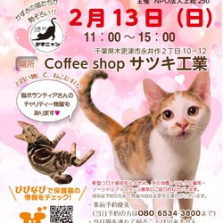 かずニャン保護猫の譲渡会