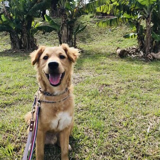 生後６ヶ月！遊ぶの大好き！やんちゃな男の子♡