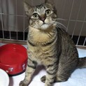 トライアル中です