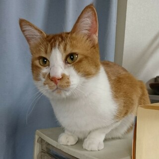 人が大好きで、思いやり溢れるおだしくん