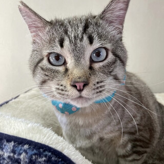 【2/13東銀座】ロットくん3,4歳♪