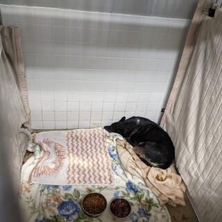 収容期限1週間しかないです