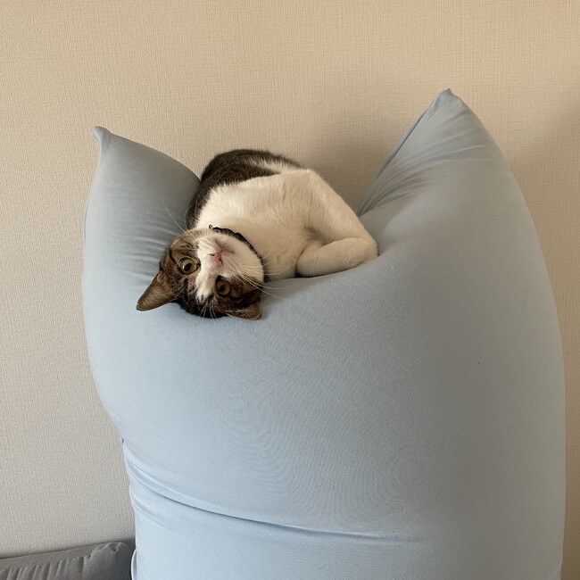 うまママのカバー写真