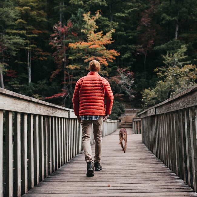 志村のカバー写真