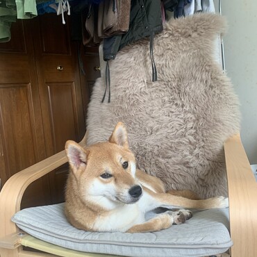 の写真
