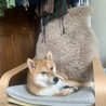 の写真