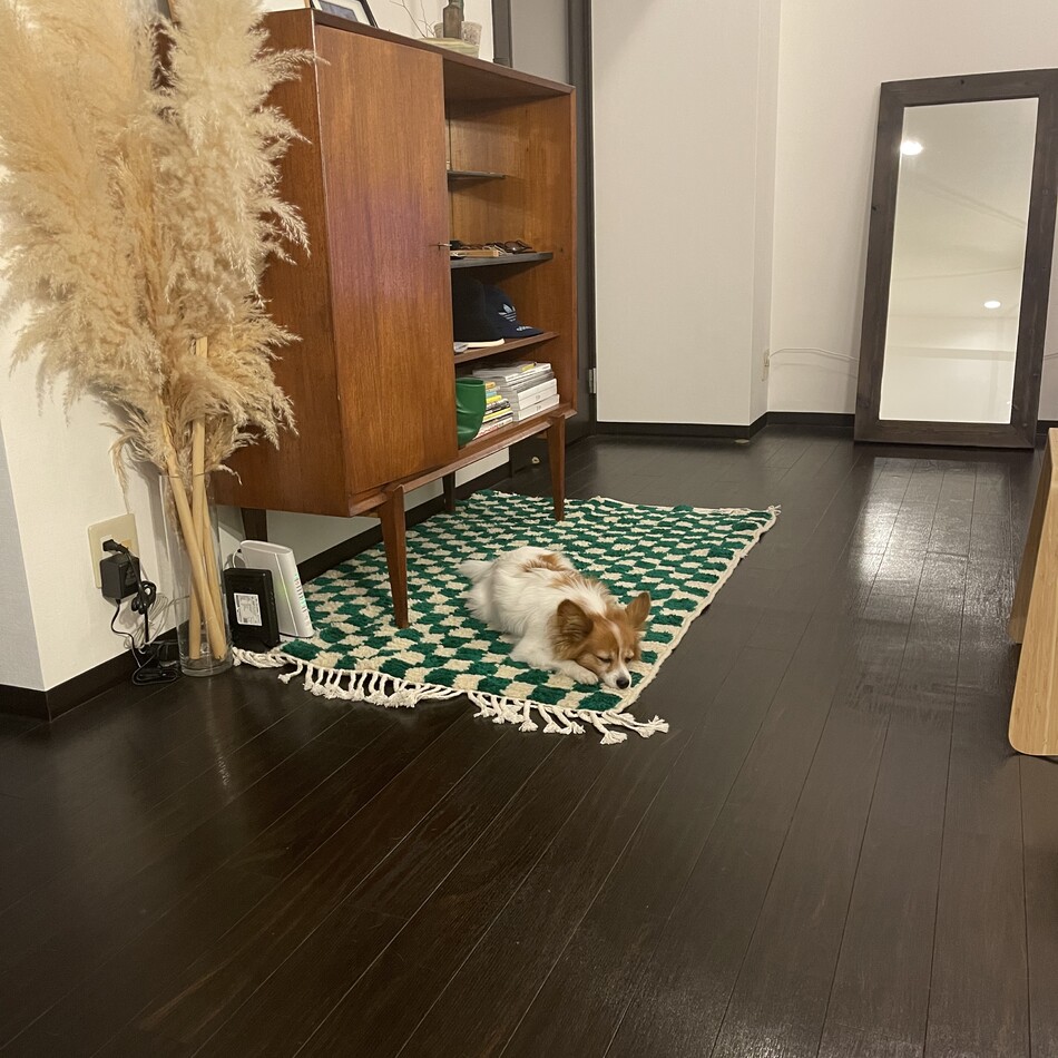 rexのカバー写真
