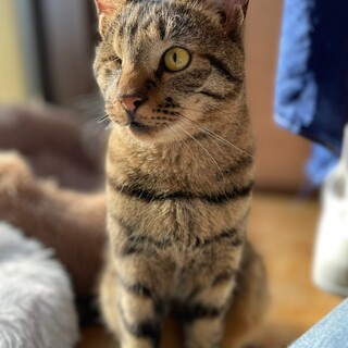 前向きで優しい「幸多」くん