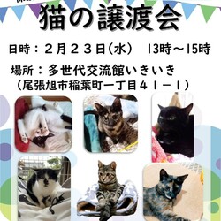 保護猫の譲渡会atいきいき