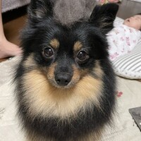 もか