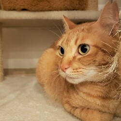 「つくしのお話」サムネイル2