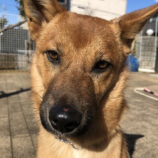 「ぬう」男の子