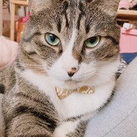 あいく