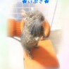 4歳になりました！
