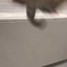 の写真