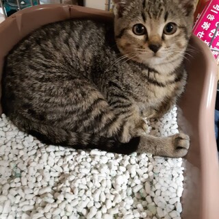 お転婆な女の子！！