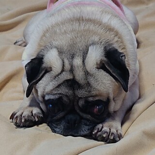 幸せになりました有難うございます