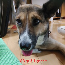 琳　暖をとる。