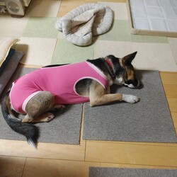 琳　手術する。