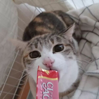 おとなしい女の子♡ベルちゃん