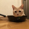 rukarukaruka