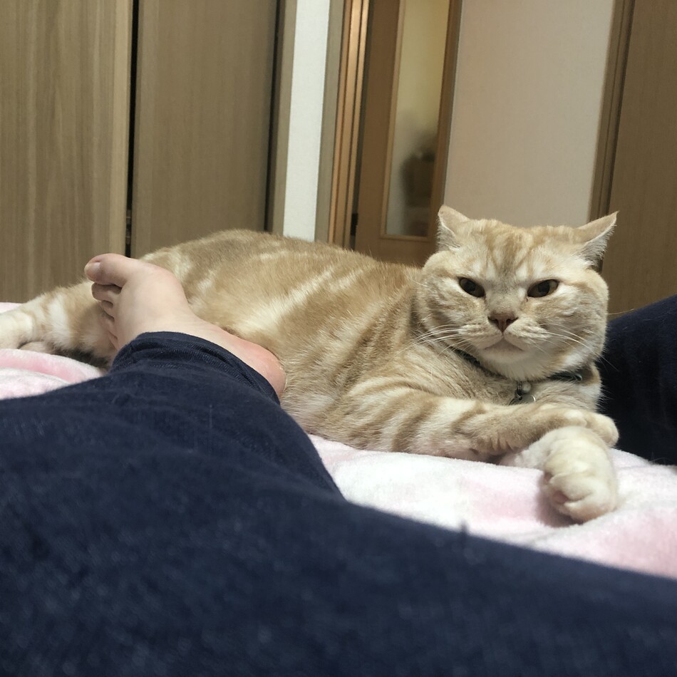 瓈央のカバー写真