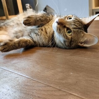 僕だけを愛して❣【旬】