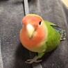 のん39