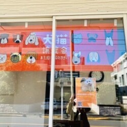 保護犬猫譲渡会@Nona