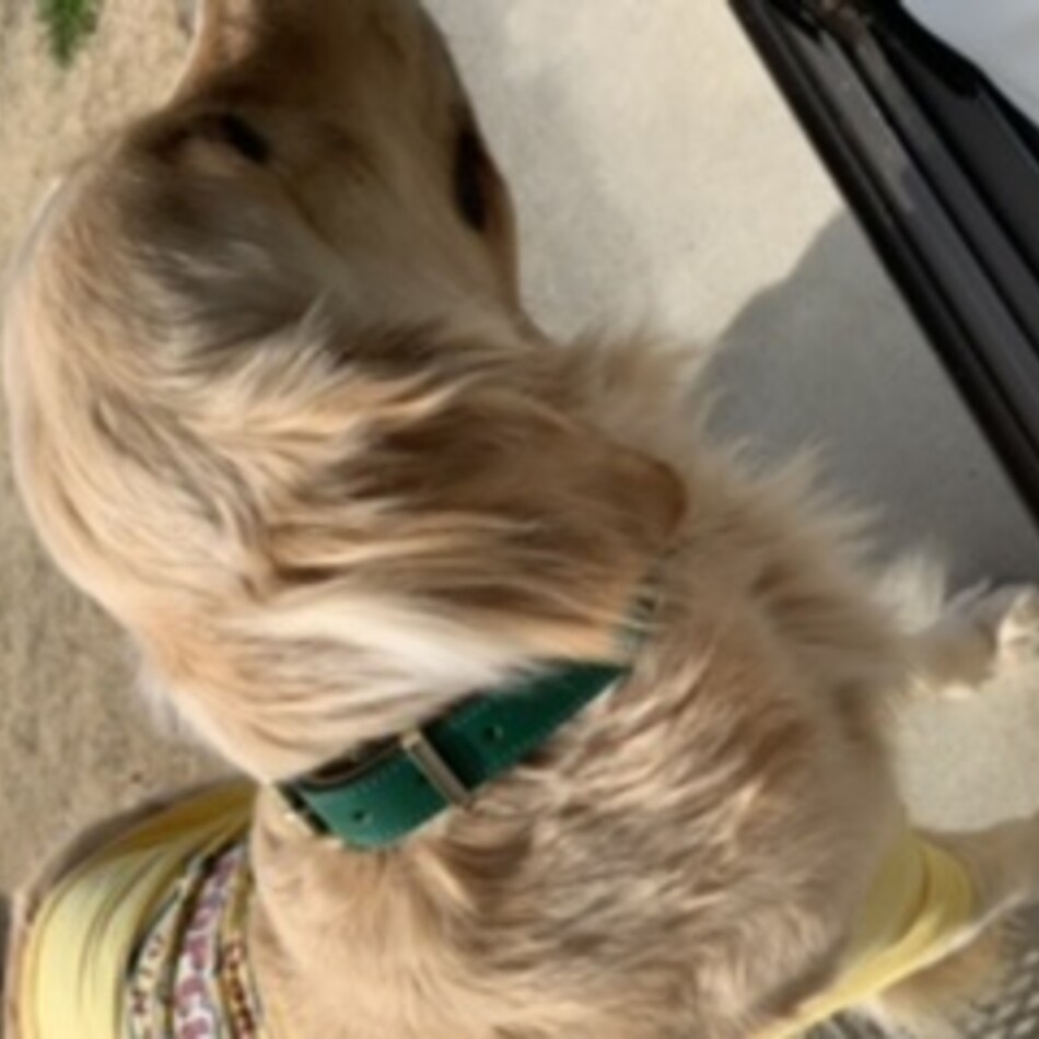 陣のカバー写真